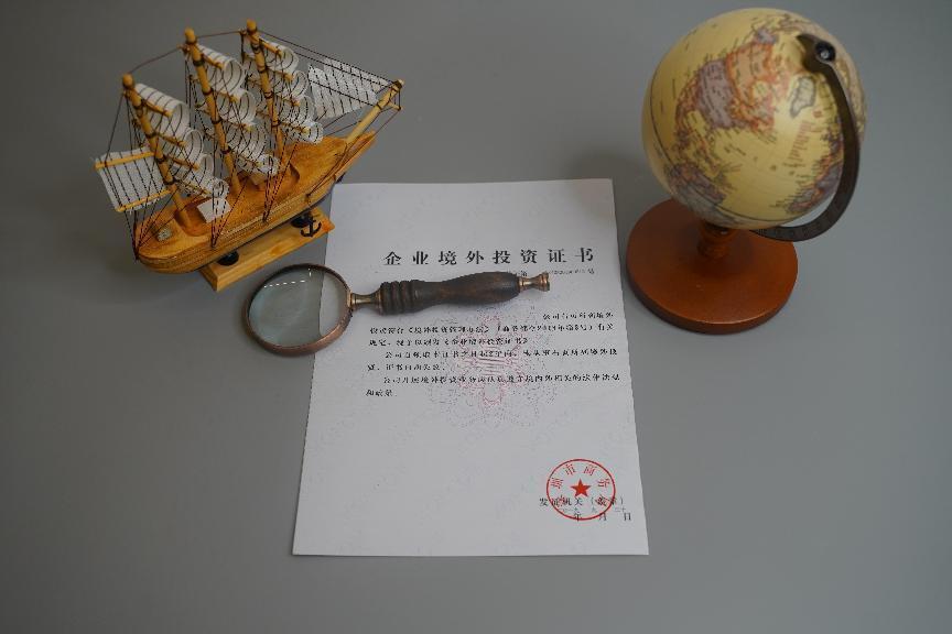 企業(yè)境外投資 企業(yè)境外投資