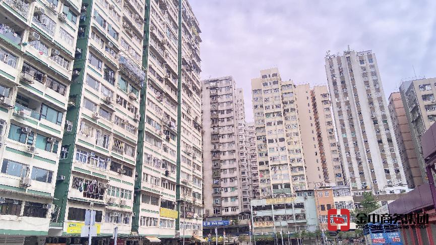 香港專才計劃 香港專才計劃